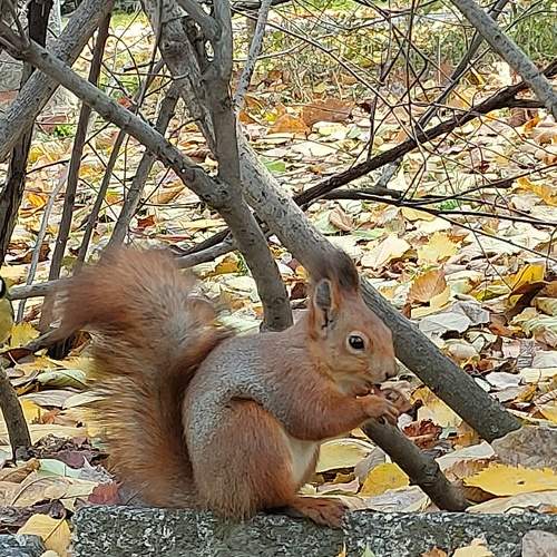 Photo #8873447