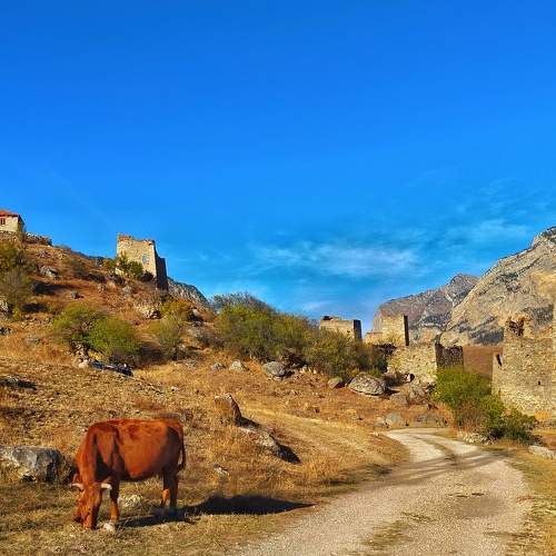 Photo #8873476