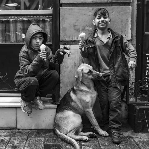 Kids and dog