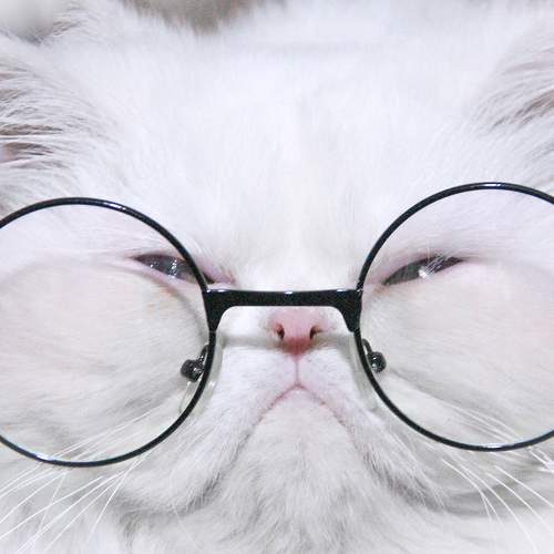 Photo #8873597