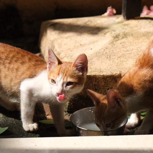 Photo #8873656