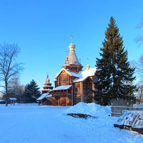 Photo #8873660