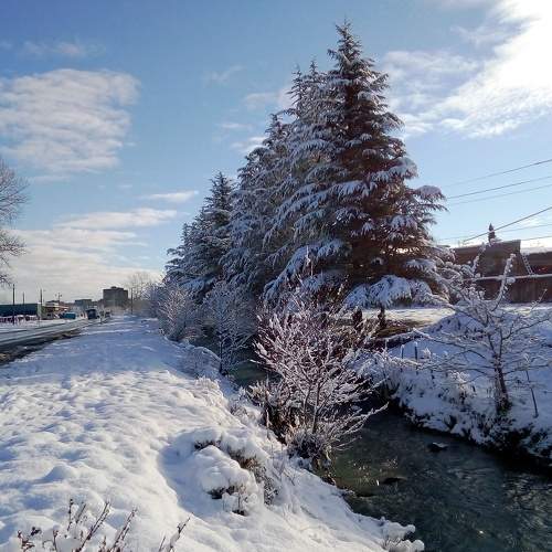 Photo #8873867