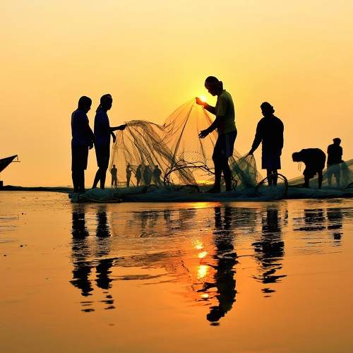 Photo #8873868