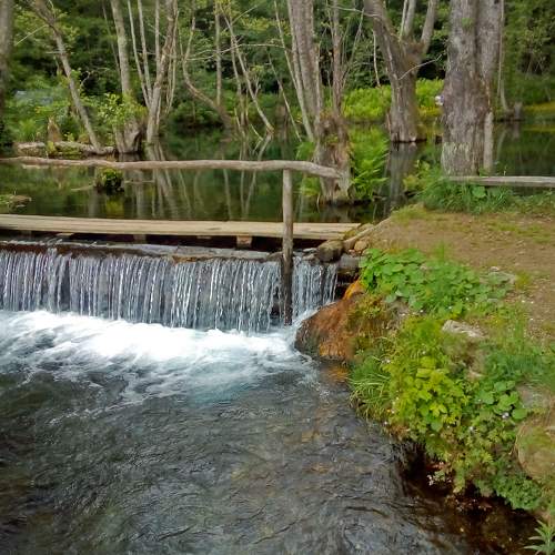 Photo #8874084
