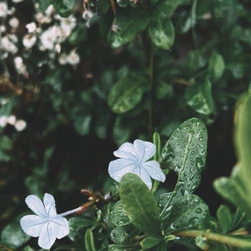 Photo #8874236