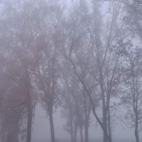 Photo #8874493
