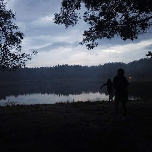 Photo #8874532