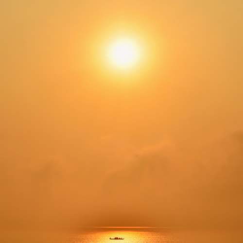 Photo #8874812