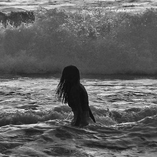 Photo #8875078