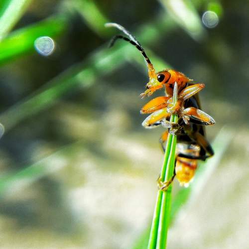 Photo #8875291