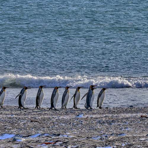 Photo #8875525