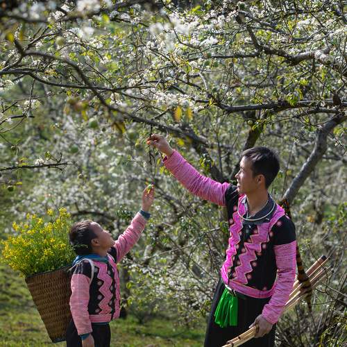Photo #8875754