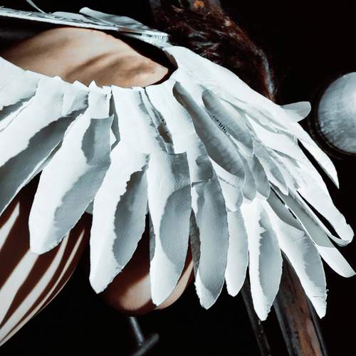 Photo #8875783