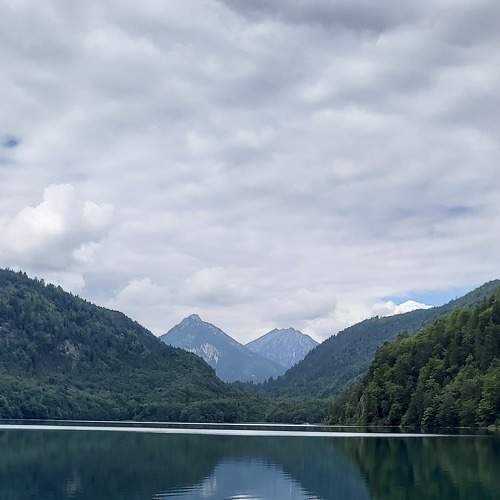 Photo #8876238