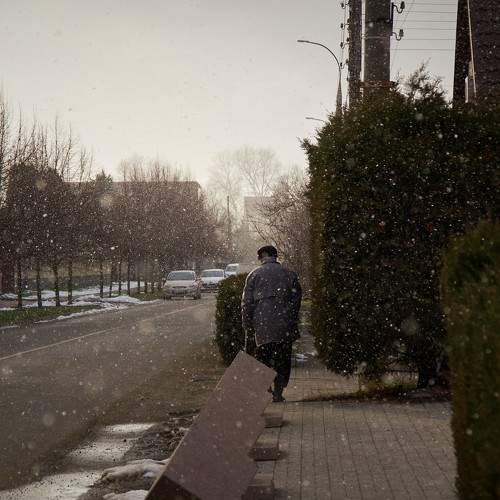 Photo #8876254