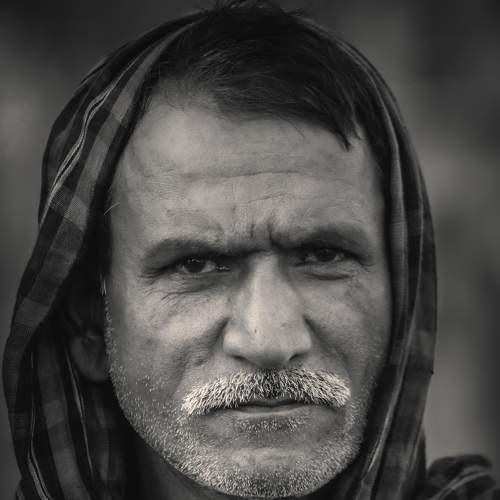 Photo #8876331