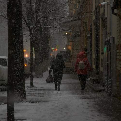 Photo #8876360