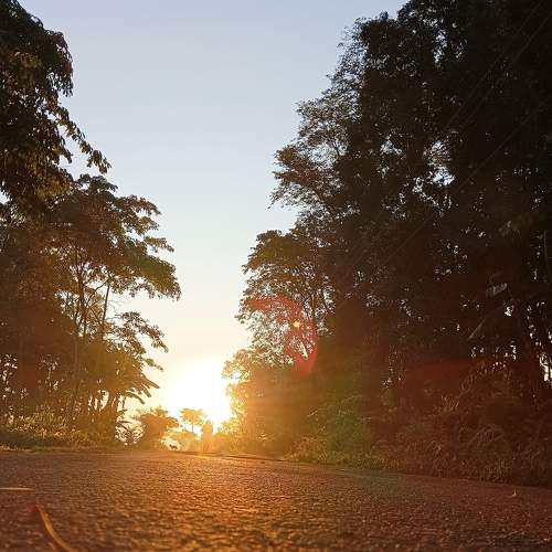 Photo #8876527