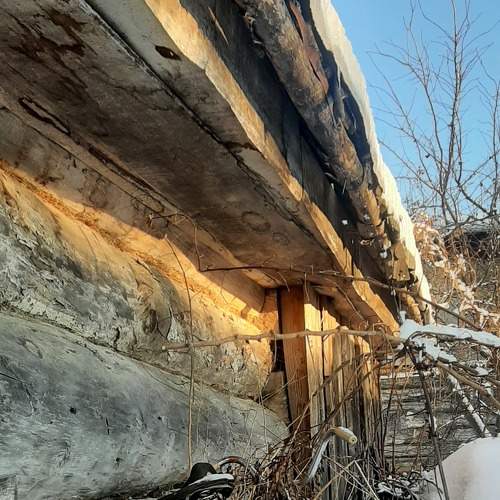 Photo #8876742