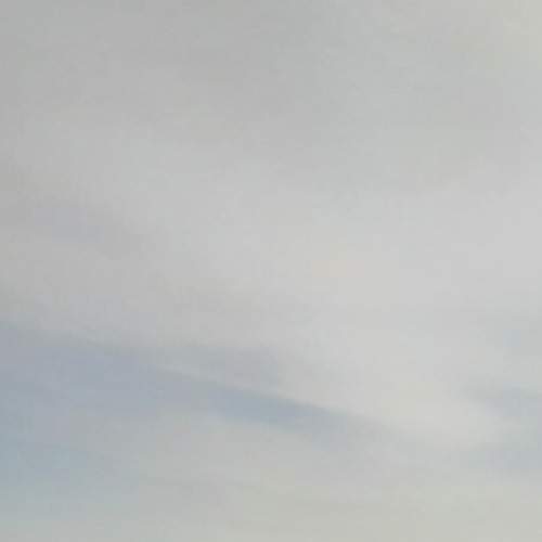 Photo #8876751
