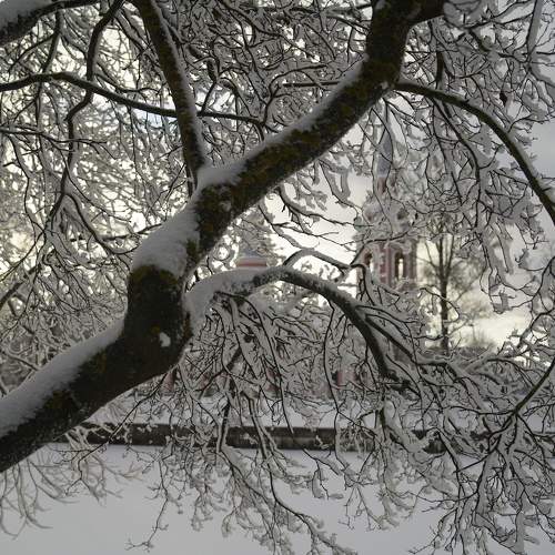 Photo #8876916