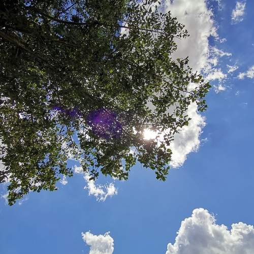 Photo #8876938