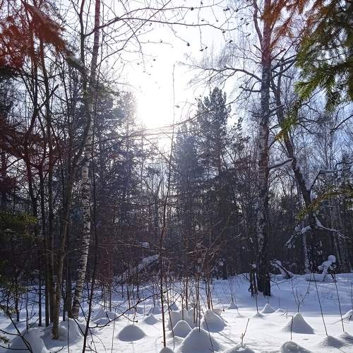 Photo #8877155