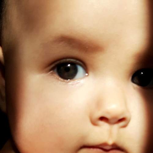 Photo #8877316