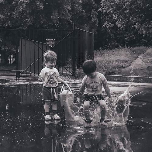 Photo #8877332