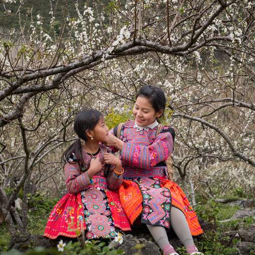Photo #8877418