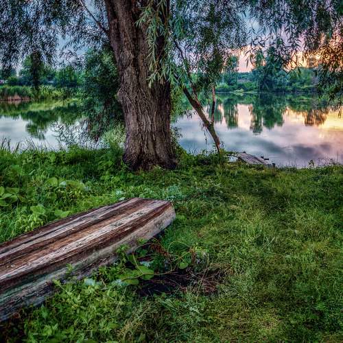 Photo #8877531