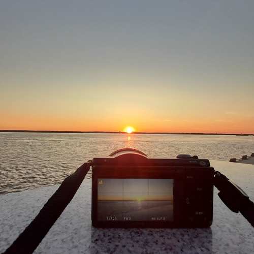 Photo #8877650