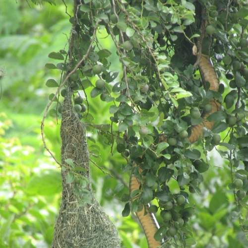 Photo #8877835