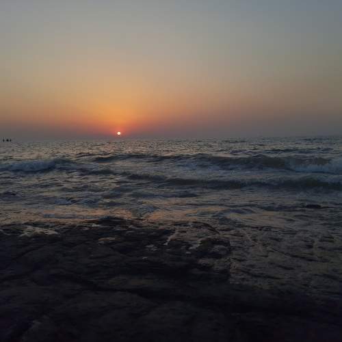 Photo #8878837