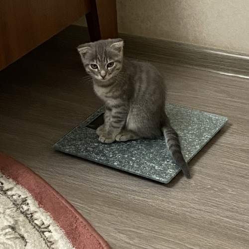 Photo #8879346