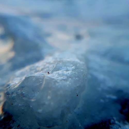 Photo #8879384