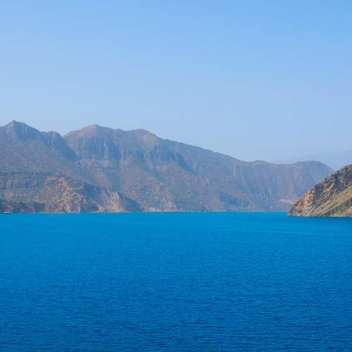 Photo #8879577