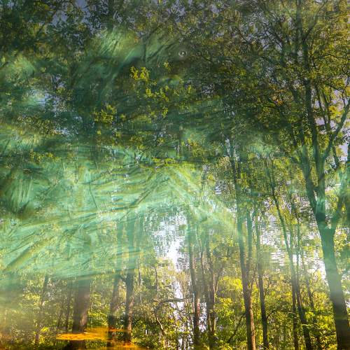 Photo #8879639