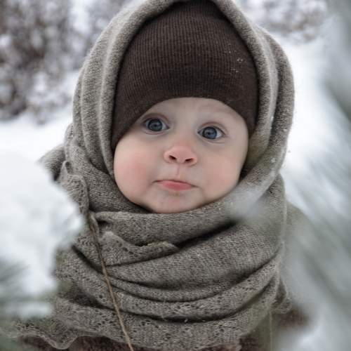 Photo #8879750