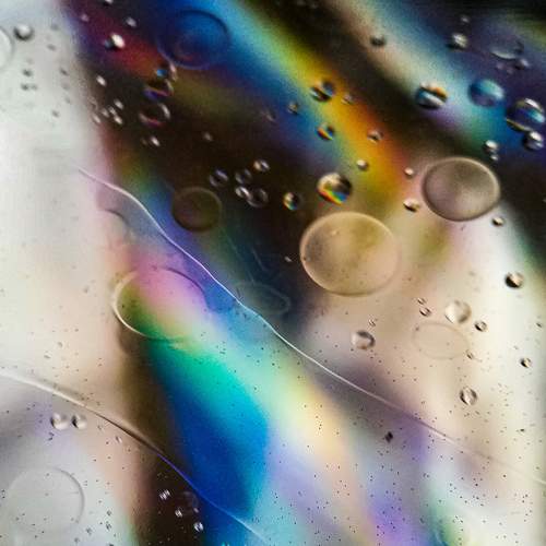 Photo #8879791