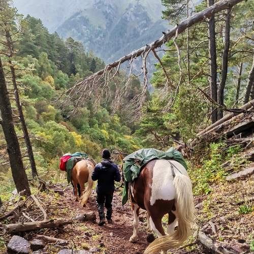 Photo #8879846