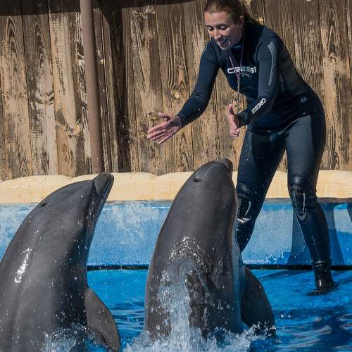 Photo #8880033
