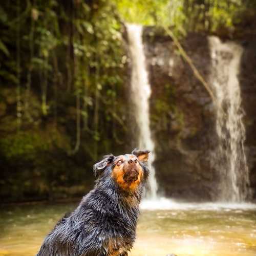morgan in the waterfall