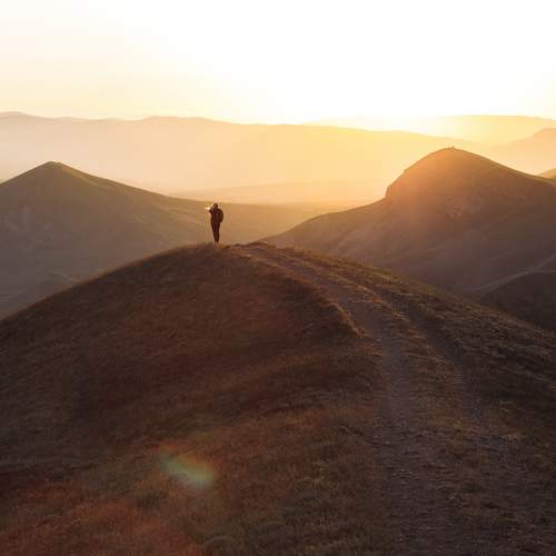 Photo #8880188
