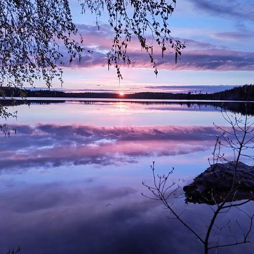 Photo #8880435