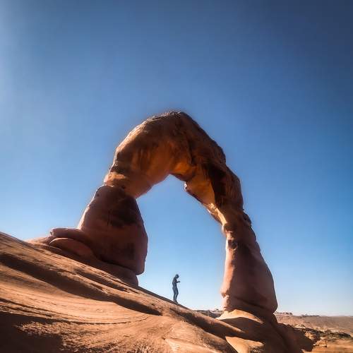 Photo #8880646