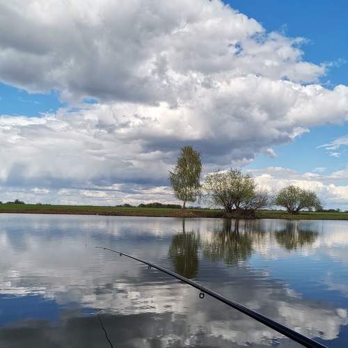 Photo #8881028
