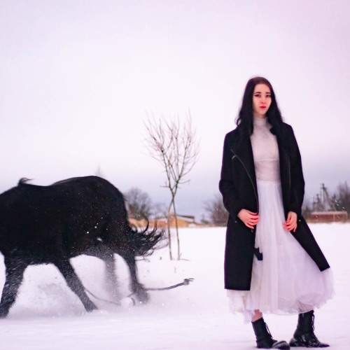 Photo #8881371