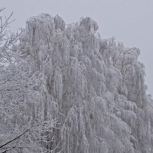 Зима природа пейзаж winter naturesa landscape